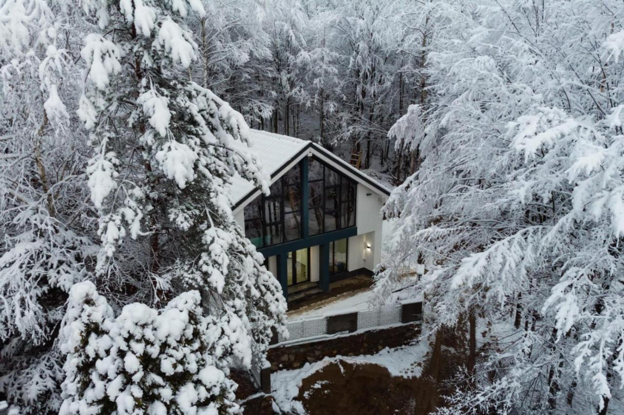 Vila Blanc Valiug Crivaia Exterior photo