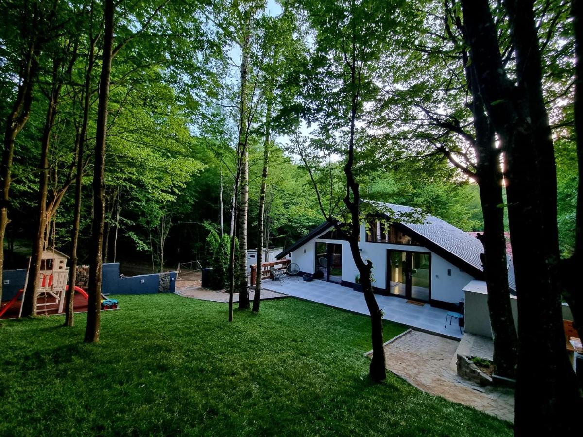 Vila Blanc Valiug Crivaia Exterior photo